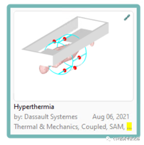 CST仿真實(shí)例：熱療Hyperthermia -生物模型，血液對(duì)